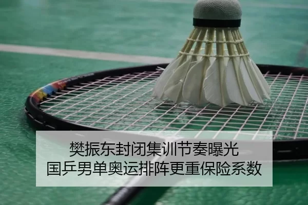樊振东封闭集训节奏曝光 国乒男单奥运排阵更重保险系数