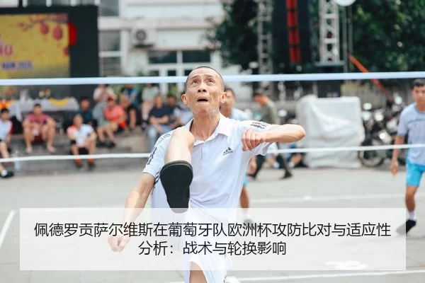 pei-de-luo-gong-sa-er-wei-si-zai-pu-tao-ya-dui-ou-zhou-bei-gong-fang-bi-dui-yu-shi-ying-xing-fen-xi-zhan-shu-yu-lun-2-455.jpg